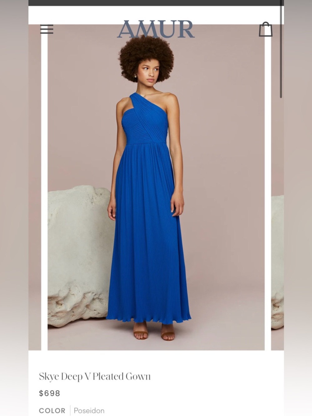 Amur Skye Deep V Pleated Gown In Size 4 / Retail Price : 698 Plus Tax